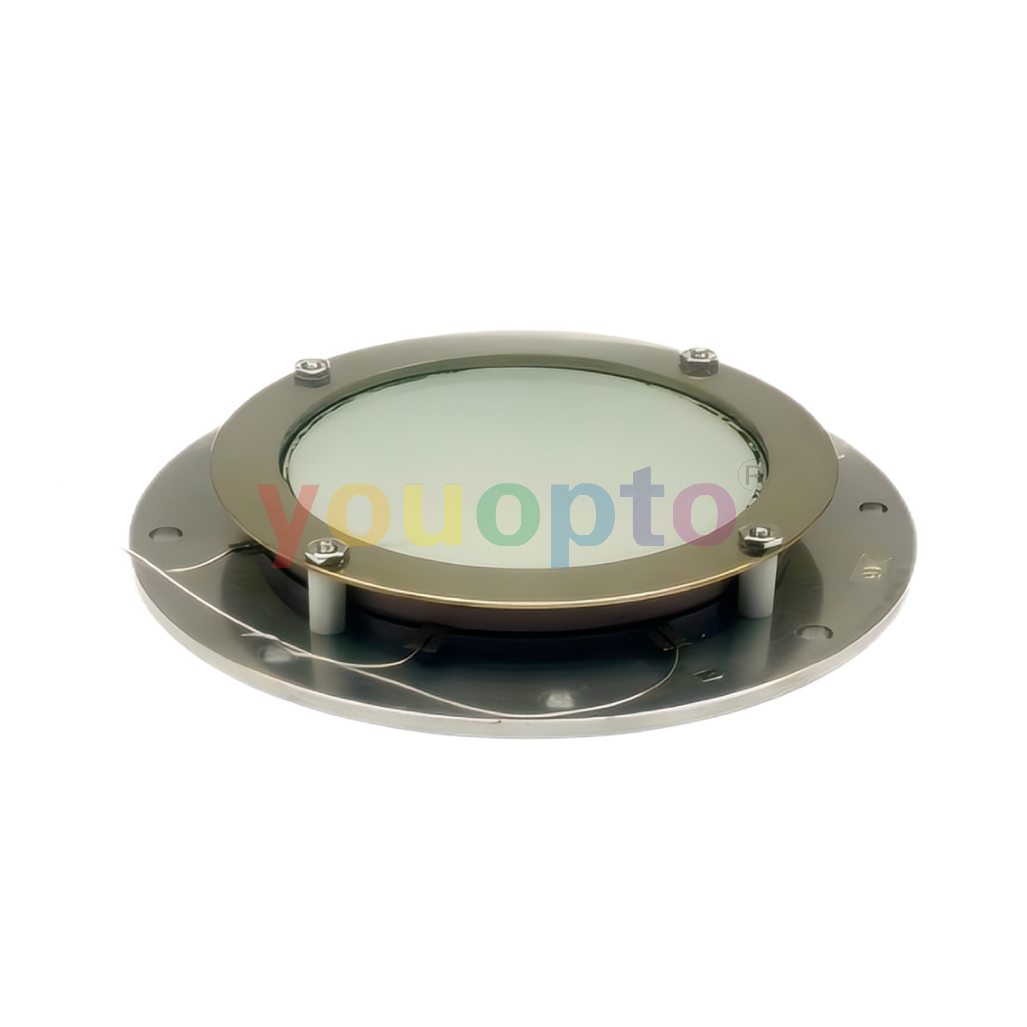 DV5010P Detector with Phosphor Screen